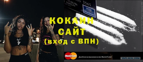 мет Инта