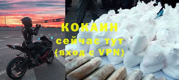 мет Инта