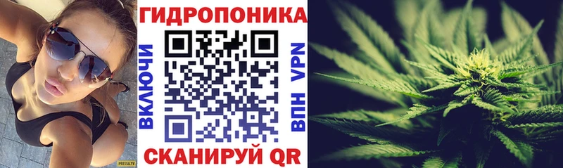 shop какой сайт  Орехово-Зуево  Бошки марихуана SATIVA & INDICA 